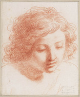 H 009
<br/>
Jongenskop, neerziend
<br/>
<em>Guercino (1591-1666)</em>